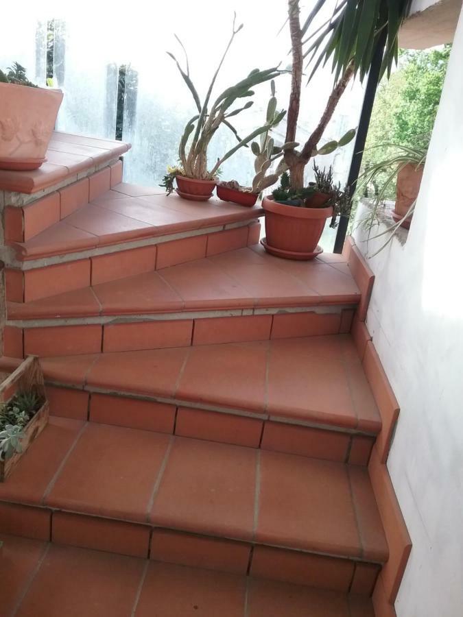 Appartamento Relax Terni Bagian luar foto