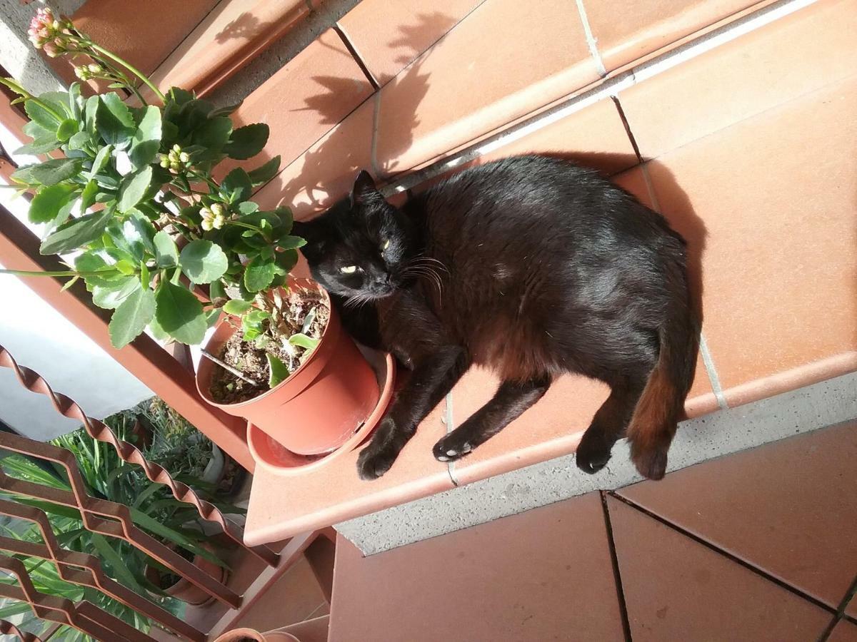 Appartamento Relax Terni Bagian luar foto